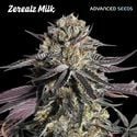 Zerealz Milk (Advanced Seeds) féminisée