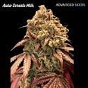 Auto Zerealz Milk (Advanced Seeds) Féminisée