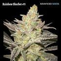 Rainbow Sherbet #11 (Advanced Seeds) Féminisée