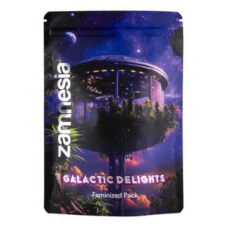 Pack Galactic Delights - Variétés féminisées