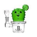 Bang Happy cactus (Hemper)