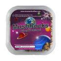 Truffes magiques MushRocks