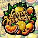 Lemon Mandarin (FastBuds) féminisée