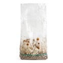 Ready-2-Grow Bag 'MVP' Zamnesia