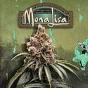 Mona Lisa (T.H.Seeds™) féminisée