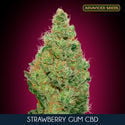 Strawberry Gum CBD (Advanced Seeds) féminisée