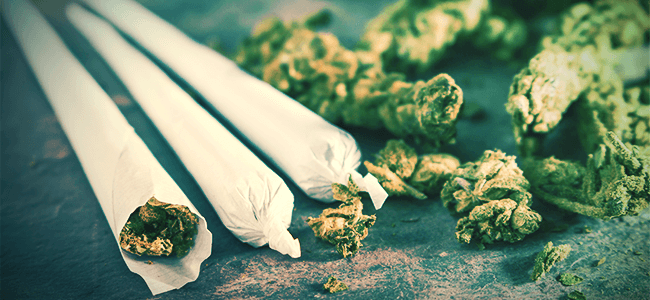 la difference entre les joints blunts et spliffs zamnesia blog joints blunts et spliffs