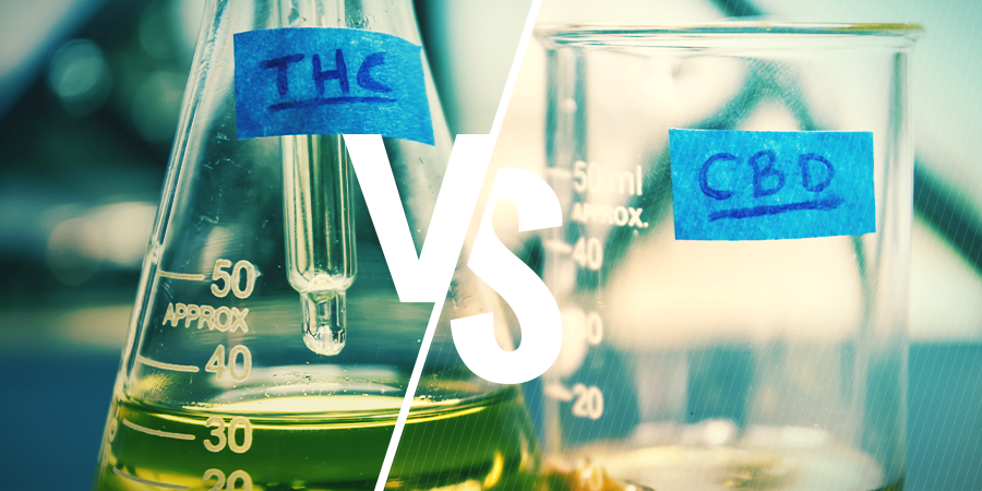 Comment Les Différents Ratios CBD:THC Affectent-ils Les Effets ...