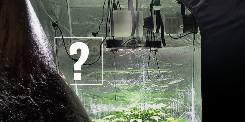 Pourquoi Utiliser Un Filtre À Charbon Pour Cultiver Du Cannabis ?