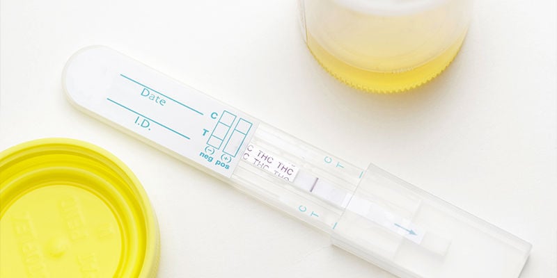 Test de dépistage rapide de THC - Clean Urin