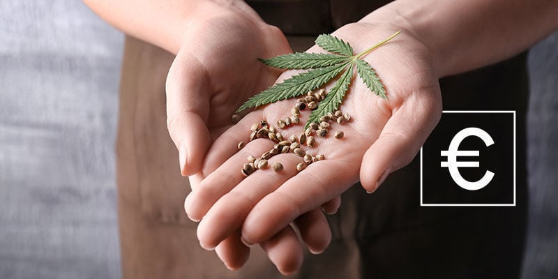 Quel Est Le Coût Des Graines De Cannabis ?