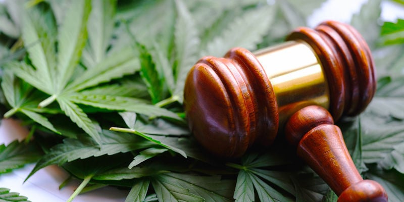 Quand Le Cannabis Sera-T-Il Légal ?