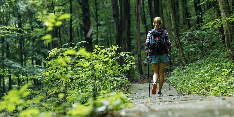 Promenade Dans La Nature