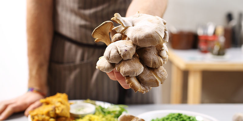 L’industrie Florale Se Met Au Vert : Les Champignons Auront-ils Un Rôle À Jouer ?