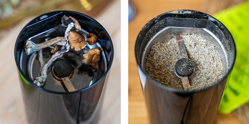 Tout D’Abord, Utilisez Un Moulin À Café Ou Un Grinder À Cannabis Pour Moudre Vos Champignons Magiques En Une Fine Poudre.