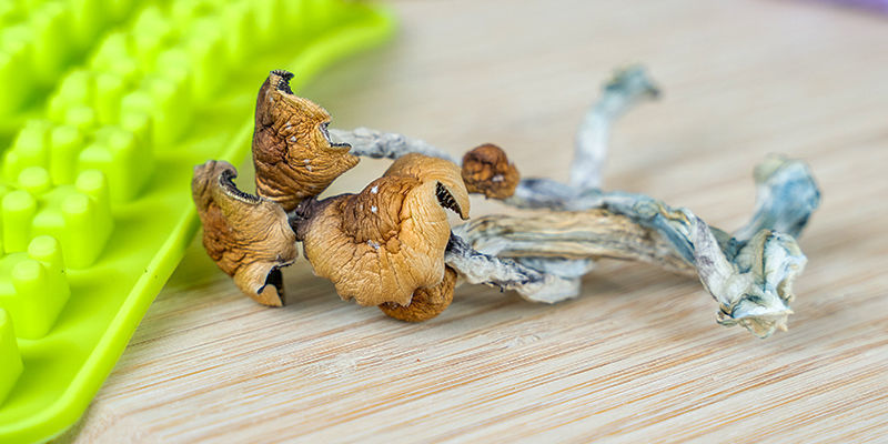 Champignons Magiques : Prenez Garde