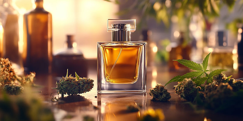 Parfums Populaires Inspirés Du Cannabis