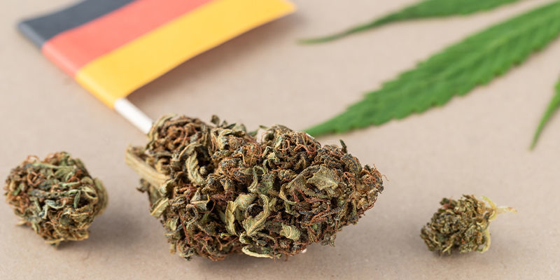 Quel Est L’état Actuel De La Loi Sur Le Cannabis En Allemagne ?