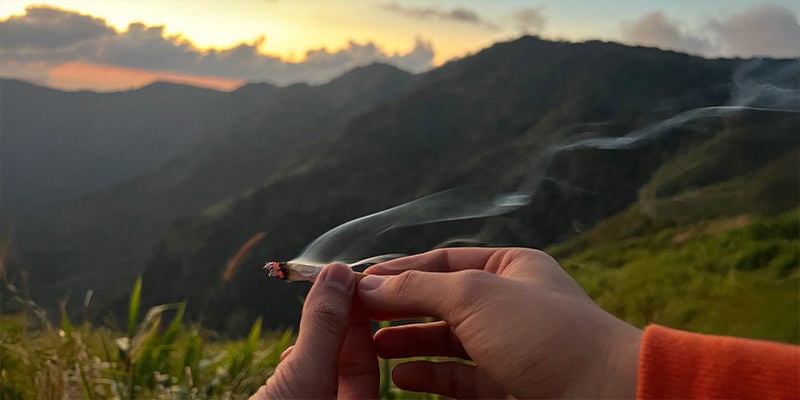 Tourisme éducatif autour du cannabis