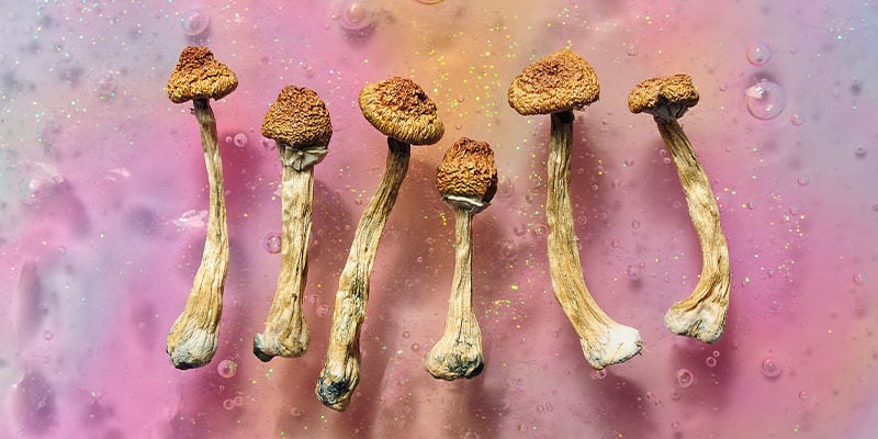 Psilocybine et psilocine : La magie des champignons