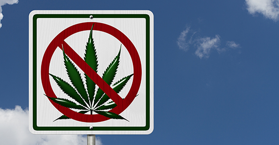 No_Cannabis.jpg