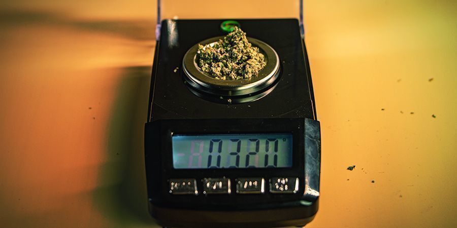 4 Façons De Mesurer Du Cannabis Sans Balance - Zamnesia Blog