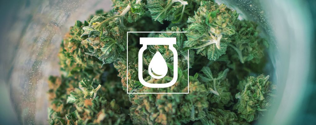 Water Curing Du Cannabis : C'est Quoi Et Comment Le Faire