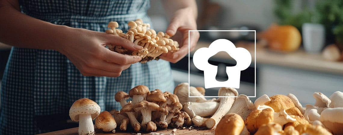 Quels Sont Les Meilleurs Champignons À Déguster ?