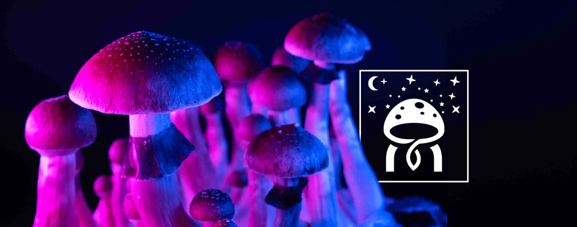 Mythes Sur Les Champignons Magiques : Démystifier Les Idées Reçues