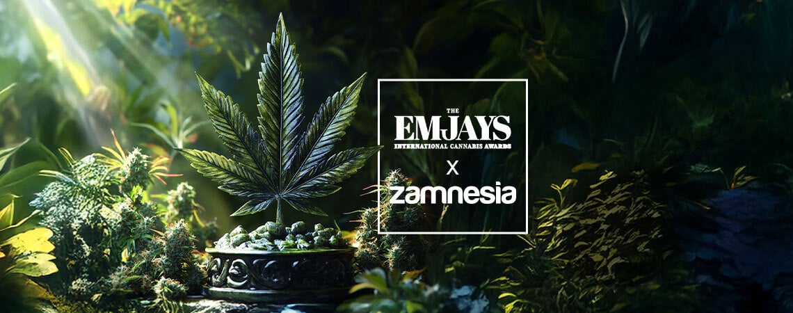 The Emjays - International Cannabis Awards - Zamnesia Rafle La Mise