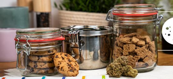 Comment Conserver Les Comestibles Au Cannabis