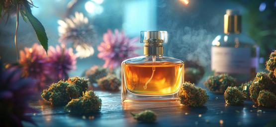 De Stigmatisé À Encensé : Senteurs De Cannabis Dans La Parfumerie Moderne