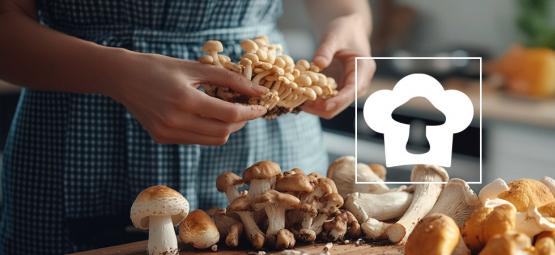 Quels Sont Les Meilleurs Champignons À Déguster ?