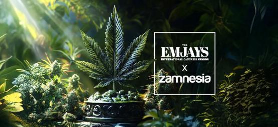 The Emjays - International Cannabis Awards - Zamnesia Rafle La Mise