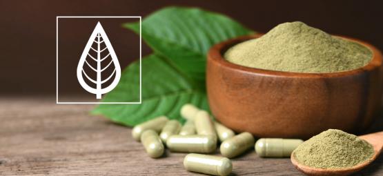 Quelles sont les différentes variétés de kratom ?