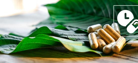 Guide sur le dosage du kratom : Tout ce que vous devez savoir